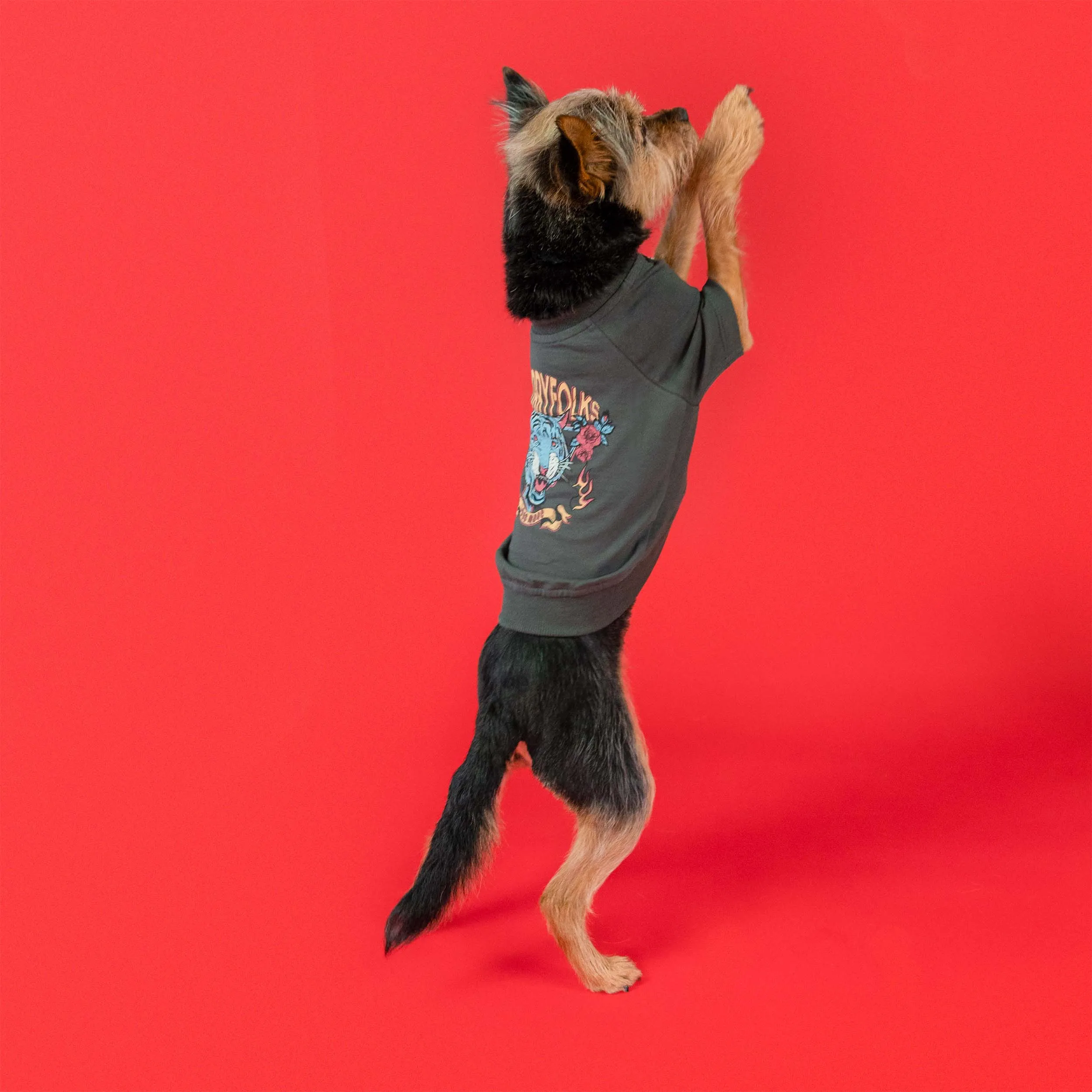 Loose Fit Graphic Tee