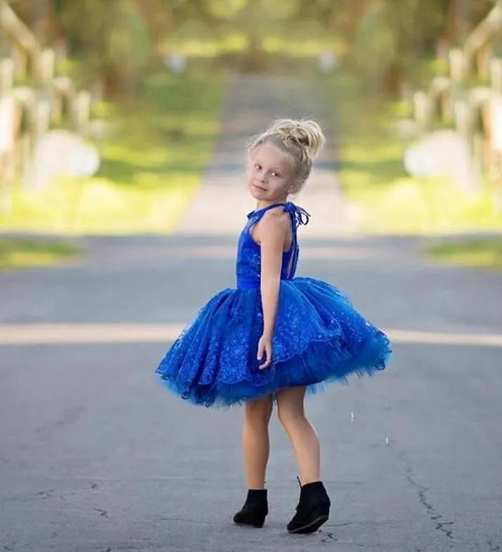 Newest Royal Blue Lace Appliques 2016 Flower Girl Dress-401403