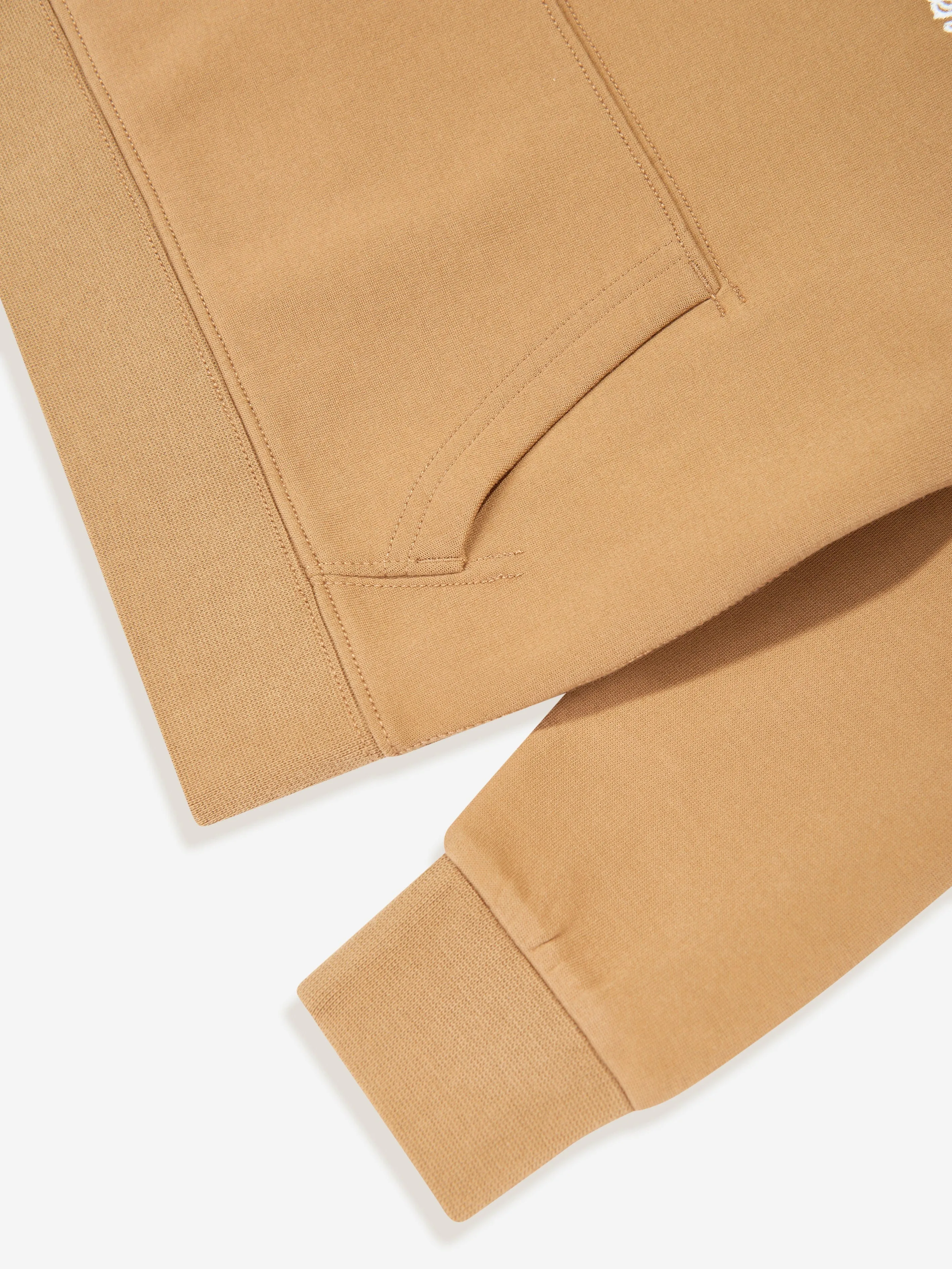 Ralph Lauren Boys Logo Hoodie in Brown