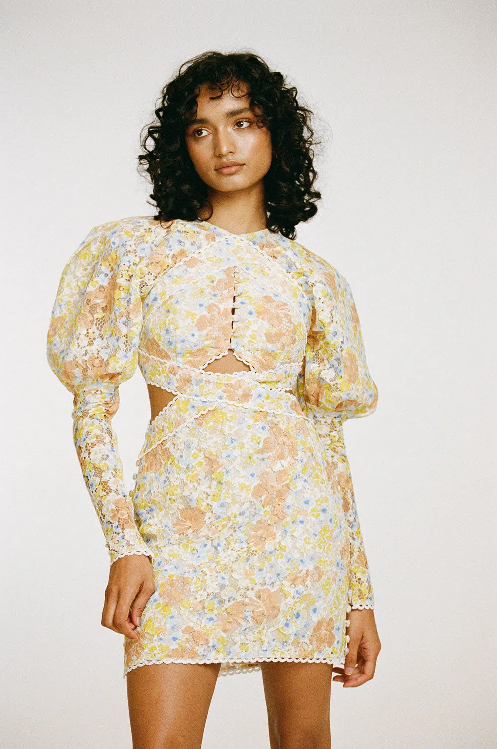 Sceaux Dress